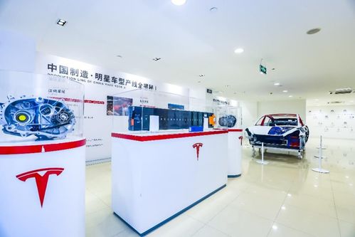管中窺豹 上海超級(jí)工廠主題展登陸山城，揭秘特斯拉硬核科技與重慶心理咨詢跨界融合